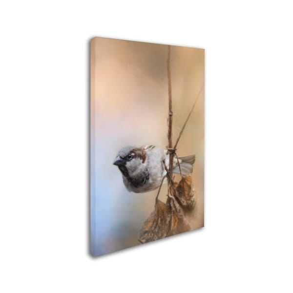 Jai Johnson 'Hanging On Sparrow' Canvas Art,22x32